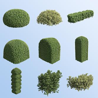 Boxwood Garden Shrubs 3d model