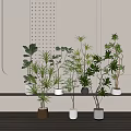 Bonsai Potted Plants In Modern Interior Design With Different Planters And Decorative Wall Features