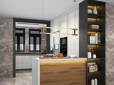 Modern Kitchen model