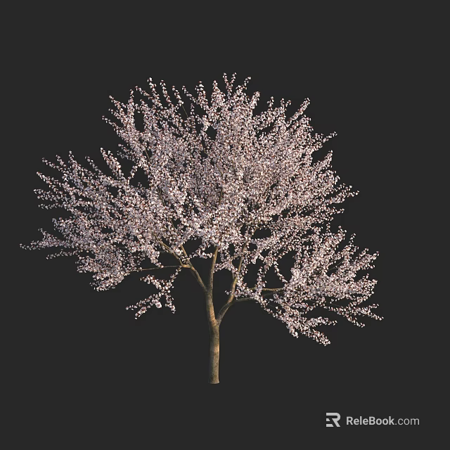 Stunning Flowering Tree In Full Bloom With Pink Blossoms And Graceful Branches 3d model 