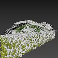 Snow Covered Green Leafy Plants With White Snow On Leaves