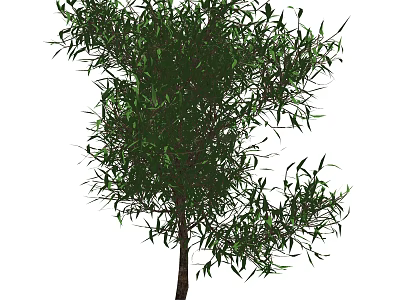 Tall Arbor With Lush Green Foliage And Sturdy Trunk In Natural Environment 3d model