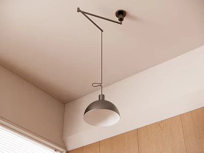 Modern Dome Pendant Light with Metal Arm Hanging from Light Colored Ceiling and Wooden Walls 3d model