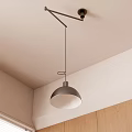 Modern Dome Pendant Light with Metal Arm Hanging from Light Colored Ceiling and Wooden Walls