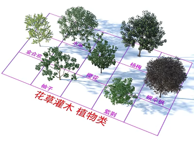 Various Types of Flowering Shrubs Including Rose of Sharon and Forsythia in Garden Ornamental Category 3d model