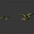 Green Decorative Plants with Brown Spots on Leaves and Different Sizes