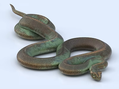 Green And Brown Coiled Snake With Detailed Scaled Body In Natural Pose 3d model
