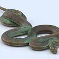 snake venomous snake reptile 3d model