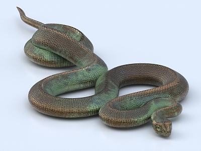 snake venomous snake reptile 3d model