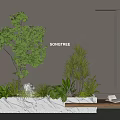 Indoor Landscape With Diverse Green Plants In Marble Planter Wooden Bench And Gray Wall Mirror