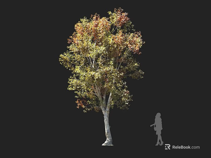 Tall Arbor With Yellow And Red Autumn Leaves And Human Silhouette 3d model 