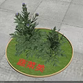 Fresh Vegetables Display In Circular Grassy Area With Green Plants And Purple Flowers