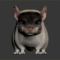 Mouse Wizard Mouse Warlock Cartoon Mouse Animation Mouse Animation Mouse Cartoon Character Cartoon Animal 3d model