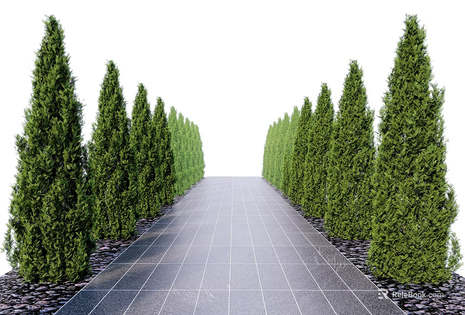 Evergreen Trees Lining Symmetrical Landscaped Path With Paved Surface And Dense Foliage 3d model
