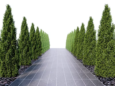 Modern tree side cypress tree street tree 3d model Modern tree side cypress tree street tree 3d model