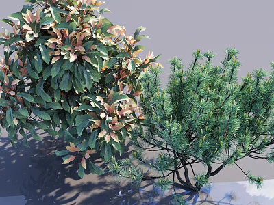 Vibrant Garden Bushes With Red Green Foliage And Lush Evergreen Needle Varieties 3d model