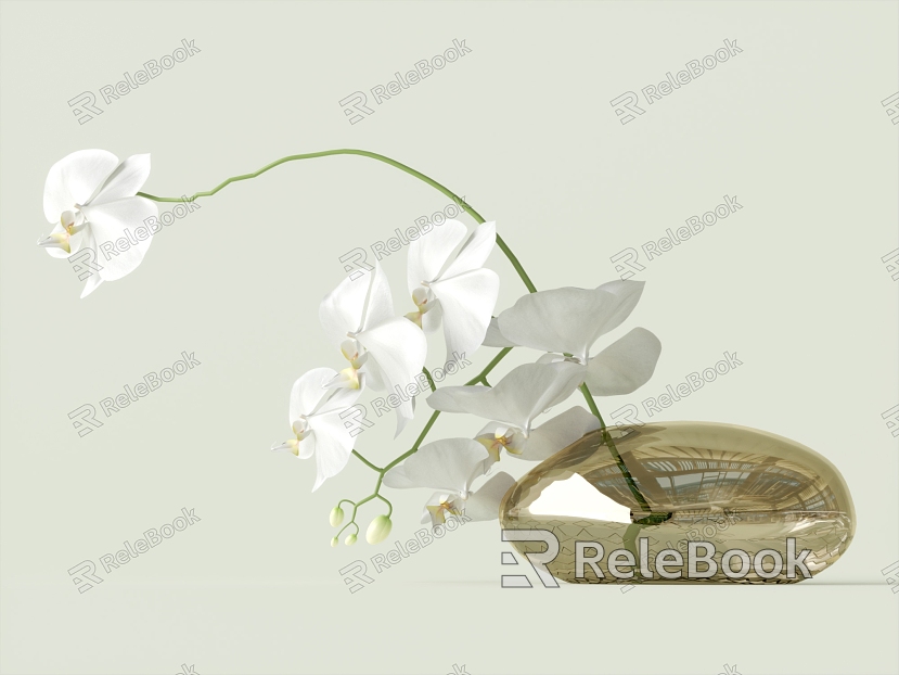 Phalaenopsis Flowers model