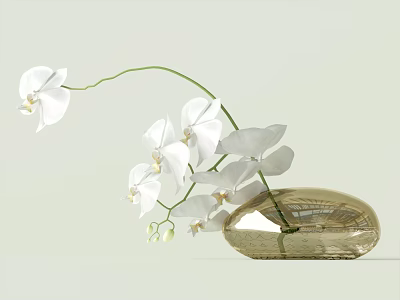 Elegant White Orchids in Golden Oval Vase on Light Colored Background 3d model