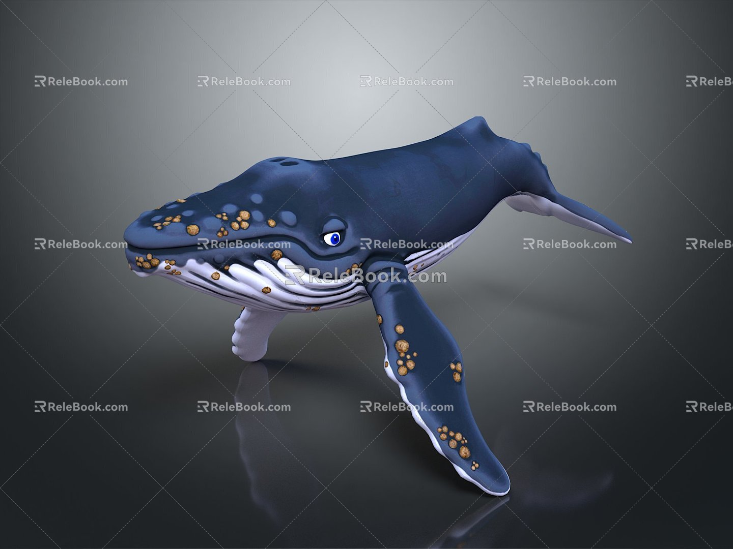 Modern Humpback Whale Humpback Whale Whale Cartoon Whale 3d model