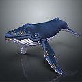 Modern Humpback Whale Humpback Whale Whale Cartoon Whale 3d model