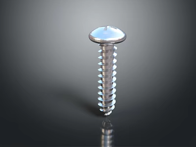 Round Head Metal Screw Hardware Tool For Smooth Surface Fastening DIY Projects 3d model