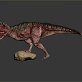 Red Dinosaur Model With Green And Black Patterns Standing On Rock Open Mouth