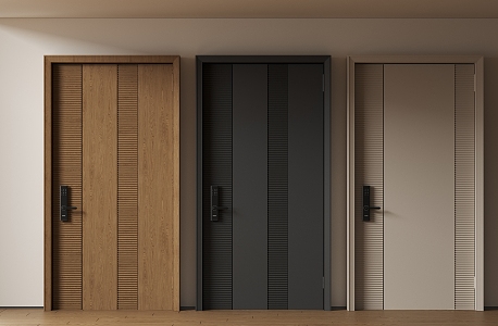 Modern Minimalist Entry Door Anti-theft Door Top Single Door Sub-mother Door Password Door 3d model