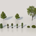 Tall Arbor Trees And Various Shrubs In Different Sizes With Green Foliage 3d model