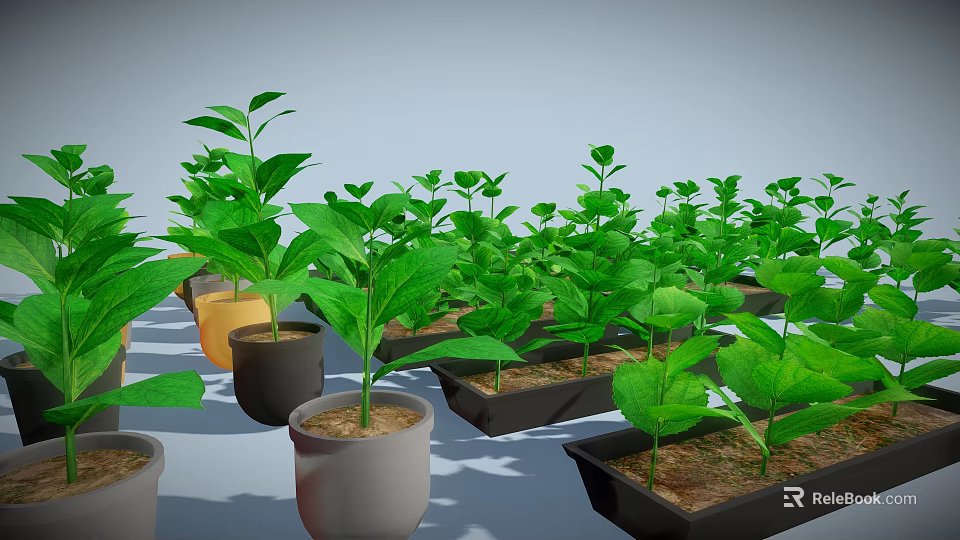 Lush Green Potted Plants With Healthy Leaves In Various Colored Pots And Planters 3d model 