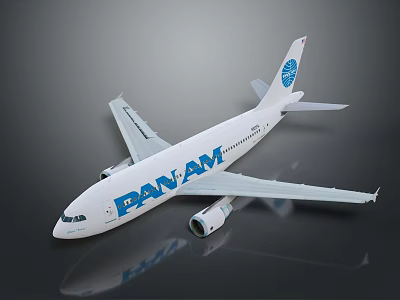 Pan Am Aircraft Model Showcasing Aerospace History And Space Exploration 3d model