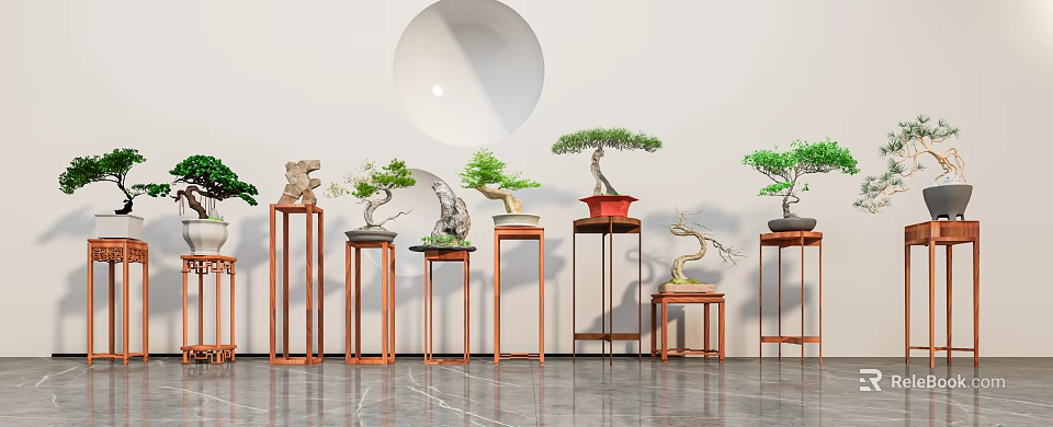 Bonsai Plants On Various Wooden Stands Against White Wall With Circular Decor And Gray Marble Floor 3d model 