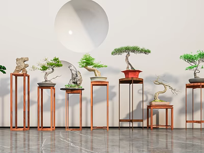 Bonsai Plants On Various Wooden Stands Against White Wall With Circular Decor And Gray Marble Floor 3d model