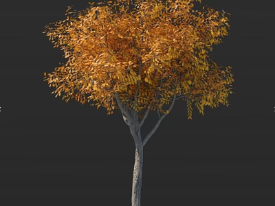 Vibrant Autumn Tree with Orange Yellow Leaves and Gray Trunk Against Black Background 3d model