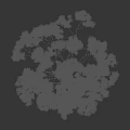 Tall Tree With Dense Green Foliage And Human Silhouette For Scale On Black Background