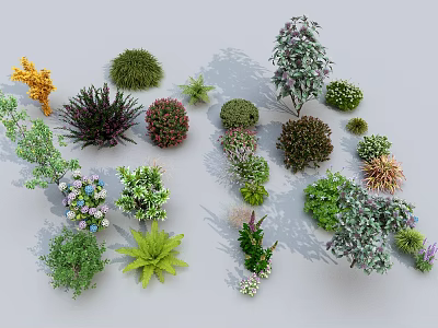 Various Types Of Arbor Trees And Decorative Green Shrubs In Garden Landscape 3d model