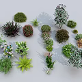 Various Types Of Arbor Trees And Decorative Green Shrubs In Garden Landscape