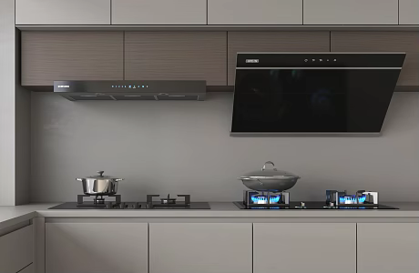 Modern range hood gas stove gas stove 3d model