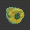 Fresh Vibrant Yellow Bell Pepper with Green Stem on Dark Reflective Surface