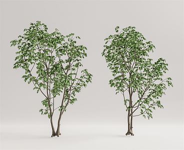 Modern Tree Landscape Tree 3d model