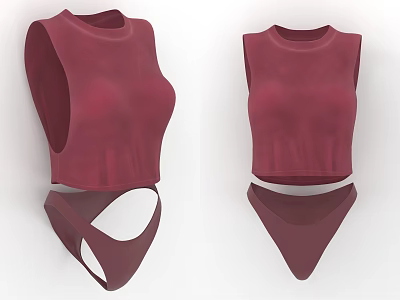 Burgundy Sleeveless Crop Top And High Waist Briefs Fitted Fashionable Women's Clothing Set 3d model