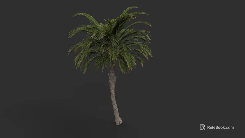 Plant Painting Featuring Tall Palm Tree With Green Fronds On Dark Background 3d model 