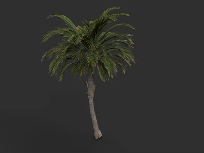 Plant Painting Featuring Tall Palm Tree With Green Fronds On Dark Background 3d model