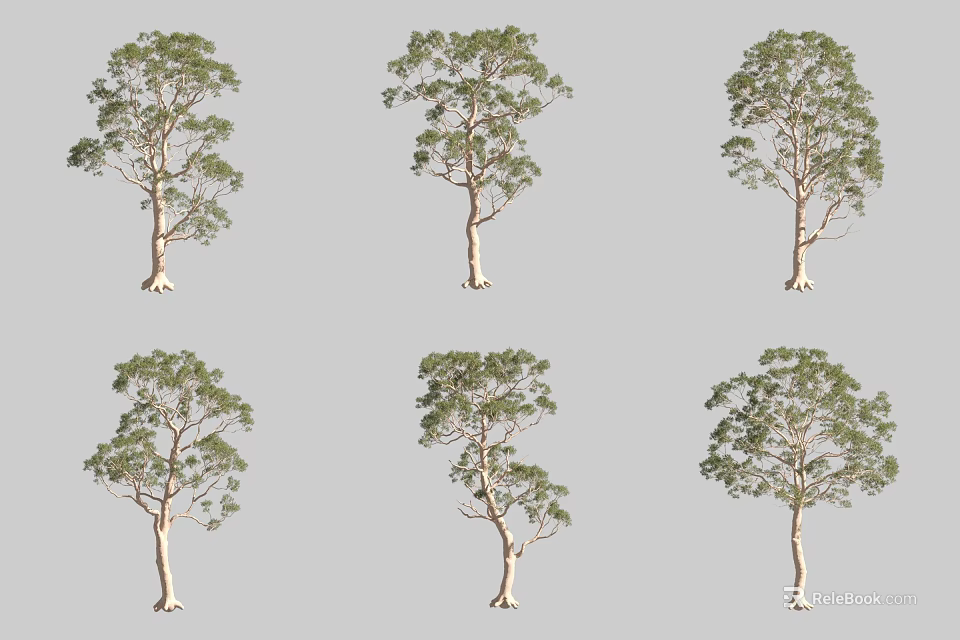 Various Arbor Types With Unique Growth Forms And Lush Foliage In Natural Scenes 3d model 