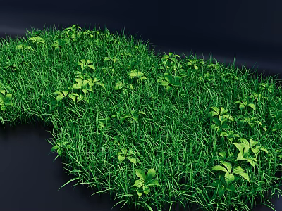 Lush Green Grass With Small Green Plants Growing On Dark Background 3d model