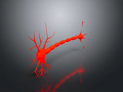 3D Rendered Red Neuron Structure With Branches Synapses And Dark Background Reflection 3d model