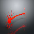 3D Rendered Red Neuron Structure With Branches Synapses And Dark Background Reflection