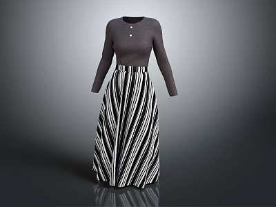 Dark Gray Long Sleeve Top With Button Detail And Black White Striped Long Skirt Outfit 3d model