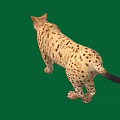 Majestic Lynx with Tufted Ears and Spotted Fur Walking on Green Background