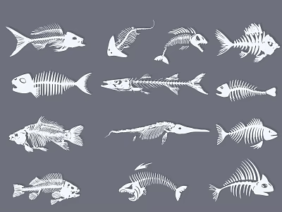 Detailed Fish Skeletons Of Various Fish Species White Line Art On Gray Background 3d model