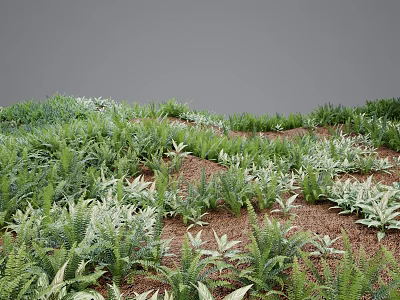 Lush Green Flowering Plants And Ferns Growing In Natural Garden Soil 3d model